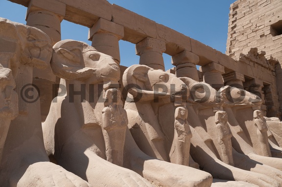 EGYPTE-2011-7265.jpg