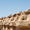 EGYPTE-2011-7341.jpg