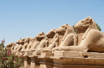EGYPTE-2011-7341.jpg
