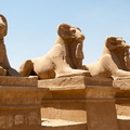 EGYPTE-2011-7342.jpg
