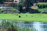 EGYPTE-2011-7360.jpg