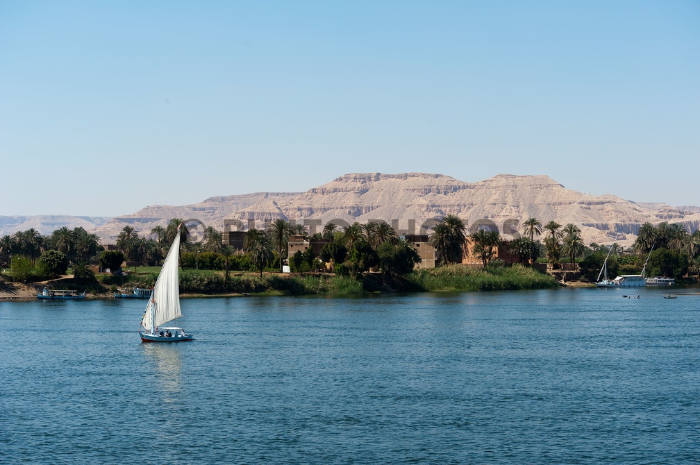 EGYPTE-2011-7365.jpg
