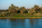 EGYPTE-2011-7386.jpg