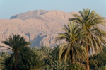 EGYPTE-2011-7387.jpg