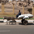 EGYPTE-2011-7669.jpg