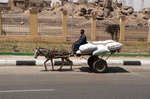 EGYPTE-2011-7669.jpg