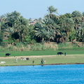 EGYPTE-2011-7881.jpg