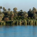 EGYPTE-2011-7892.jpg