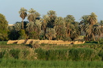 EGYPTE-2011-7898.jpg