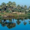 EGYPTE-2011-7947.jpg