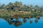 EGYPTE-2011-7947.jpg