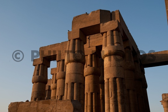 EGYPTE-2011-7994.jpg