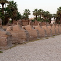 EGYPTE-2011-8006.jpg