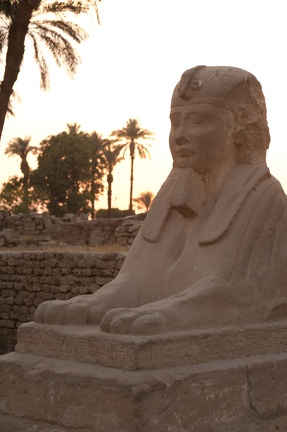 EGYPTE-2011-8011.jpg