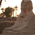 EGYPTE-2011-8011.jpg