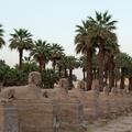EGYPTE-2011-8012.jpg