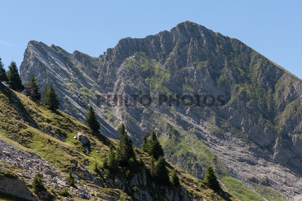 Mont Charvin 2012-5382.jpg