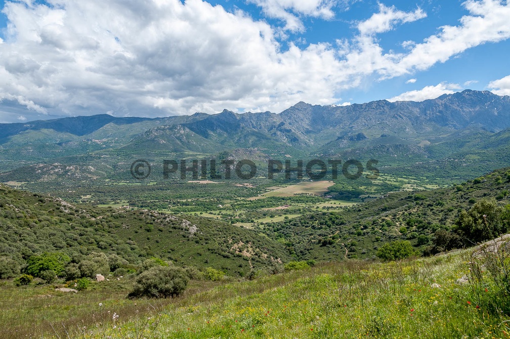 Philto-Corse-2014-0374