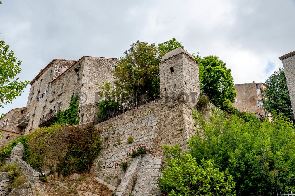 Philto-Corse-2014-0596.jpg