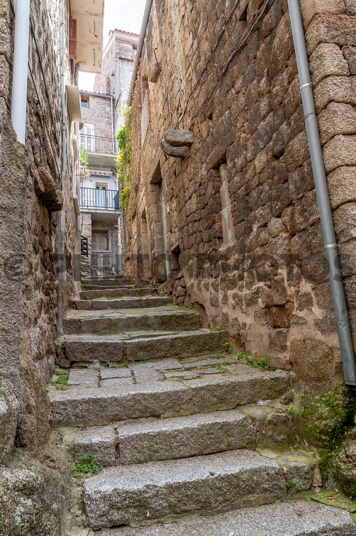 Philto-Corse-2014-0599.jpg