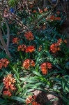  DSC8175