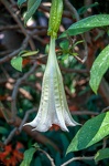  DSC8176