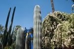  DSC8185