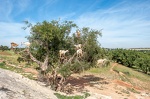 DSC8390