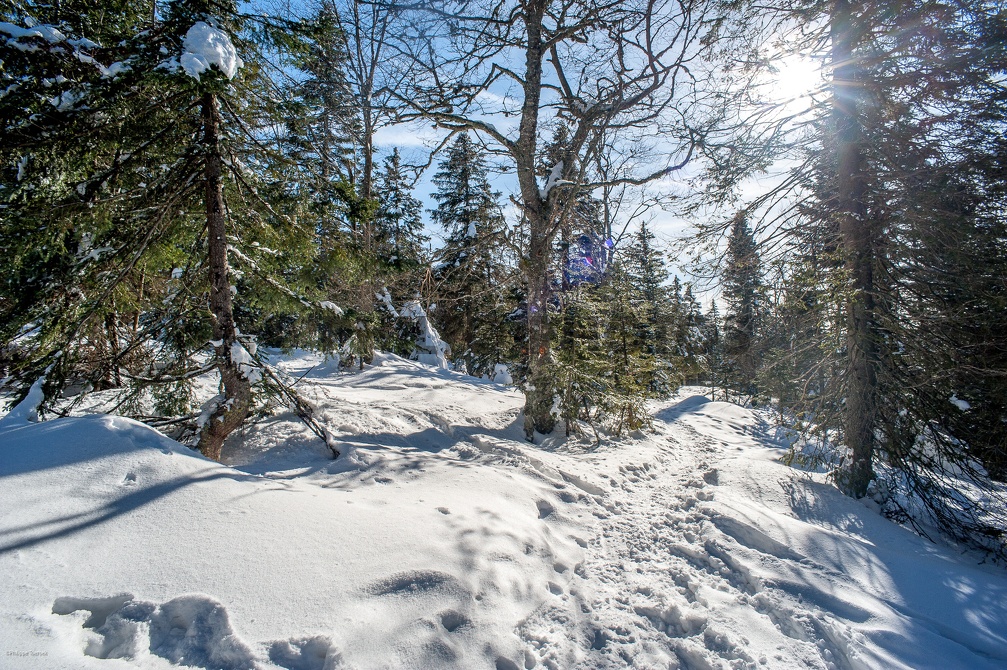 _DSC2958.jpg