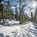  DSC2958