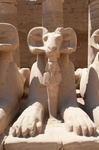 EGYPTE-2011-7269.jpg