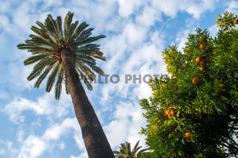 NICE-06-2011-8177.jpg