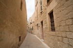 MALTE-0494