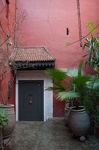  DSC7961