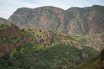  DSC8005