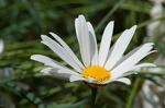 DSC8046