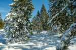 Semnoz 2012