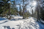  DSC2958